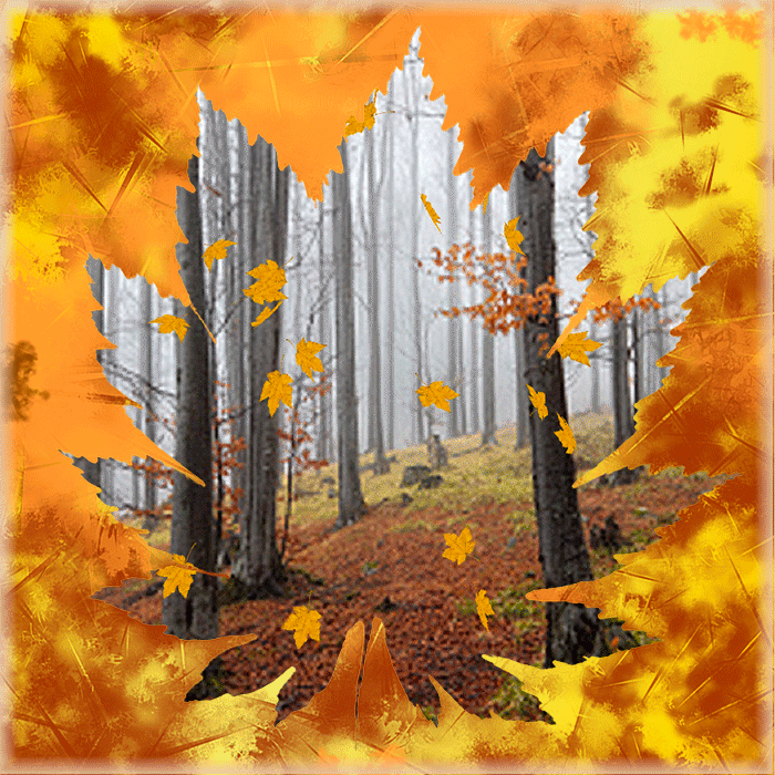 Анимация Падающие осенние листья в лесу, гифка Падающие осенние листья в лесу