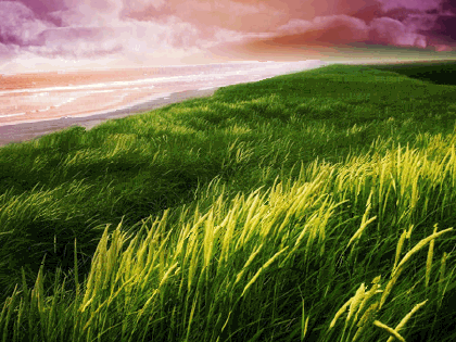 Анимация Море на закате и берег покрытый зеленой травой, гифка Море на закате и берег покрытый зеленой травой