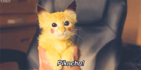 Анимация Котенок перекрашенный под Пикачу (Pikachu!)