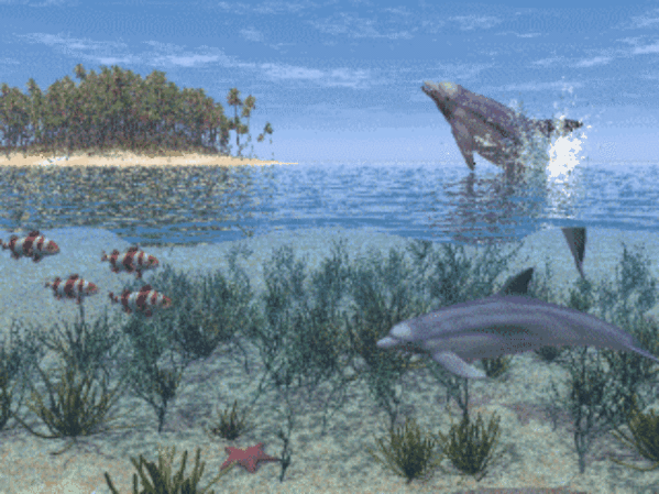 Анимация Один дельфин выныривает из воды, а другой плывет рядом в прозрачной толще моря, гифка Один дельфин выныривает из воды, а другой плывет рядом в прозрачной толще моря