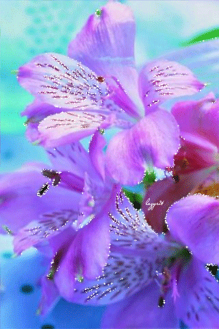 Анимация Мерцающие лилово-голубые цветы, автор lazуrit, гифка Мерцающие лилово-голубые цветы, автор lazуrit