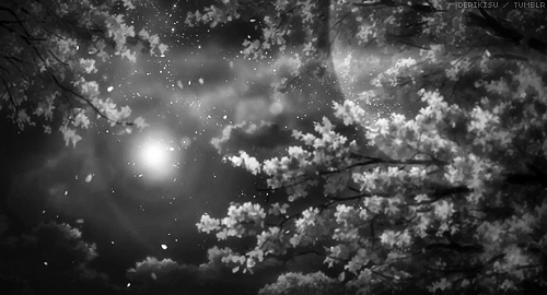 Анимация Ветки деревьев на фоне ночного неба и луны, гифка Ветки деревьев на фоне ночного неба и луны