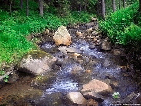 Анимация Лесная каменистая речка (фотограф Владимир Мацкевич)