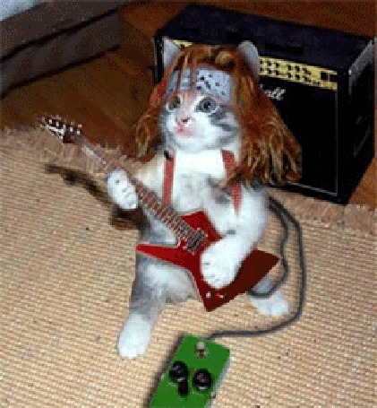 Кот с гитарой рисунок