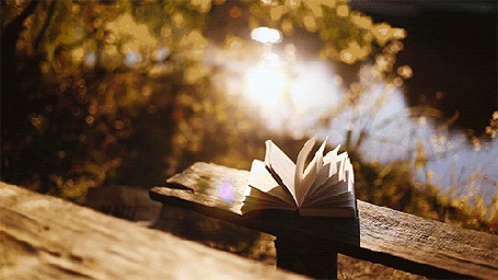 Анимация Открытая книга лежит на лавочке