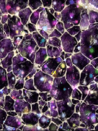 Анимация Переливающаяся фиолетовая мозаика