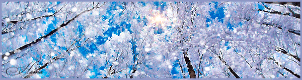 Анимация Обильный снегопад между заснеженных деревьев, устремивших свои вершины к голубому небу, Ната, гифка Обильный снегопад между заснеженных деревьев, устремивших свои вершины к голубому небу, Ната