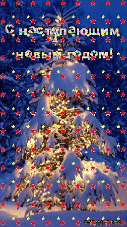Анимация Ель покрытая снегом, а под снегом горит гирлянда, падают разноцветные звездочки (С наступающим новым годом!), WHITE TIGER