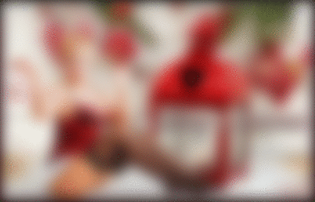 Анимация На снегу сидит девушка и держит в руке пирожное, рядом стоит рождественский фонарик, на стене висят елочные ветки и ягоды (Merri Chrismas), Dolya