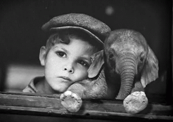 Анимация Мальчик рядом со слоненком у окна, гифка Мальчик рядом со слоненком у окна