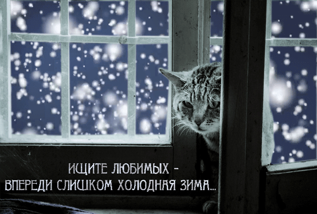 Теплая ночь в холодный день. Снег за окном. Зимнее утро в окне. Доброе утро снежок за окном. Зимнее окно.