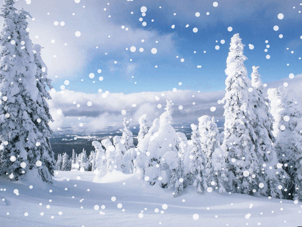 Анимация Зимний лес и падающий снег, гифка