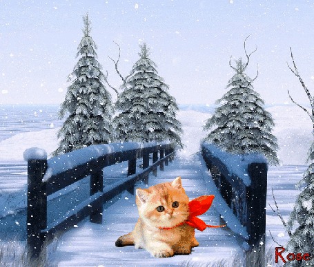 Анимация Рыжий котенок с бантиком на снежном мосту, автор Rose
