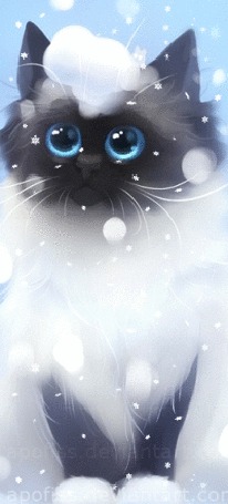 Анимация Котенок под падающим снегом