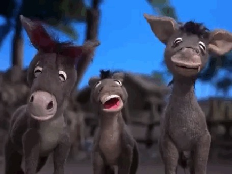 Bachelor Party Donkey Gif