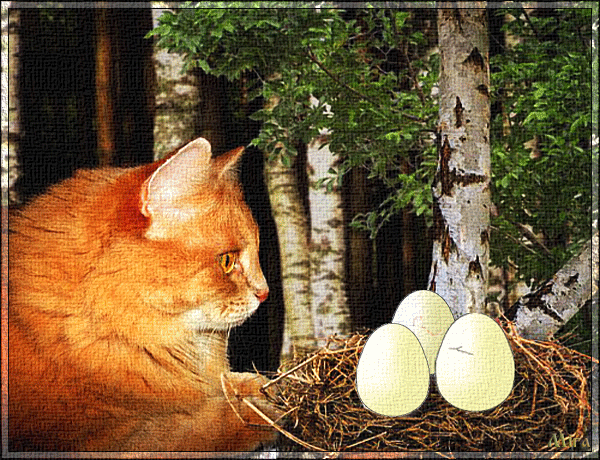 Анимация Кот смотрит, как из яиц в гнезде вылупляются котята, гифка Кот смотрит, как из яиц в гнезде вылупляются котята