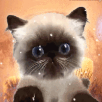 Анимация Маленький котенок мяукает, гифка Маленький котенок мяукает