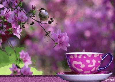 Анимация Чашка с горячим чаем стоит на фоне весенней ветки с птицей, гифка