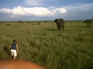 Анимация Мужчина пытается напугать слона, гифка Мужчина пытается напугать слона