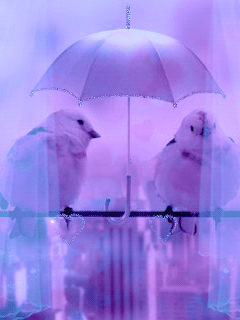 Анимация Две птички под зонтиком, гифка Две птички под зонтиком