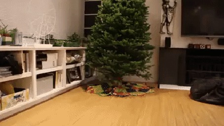 Анимация Две собаки очень обрадовались, когда в доме наконец -то появилась новогодняя елка