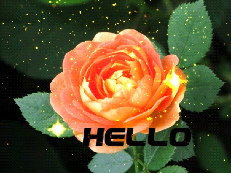 Анимация Роза в блестках, (Hello / привет)