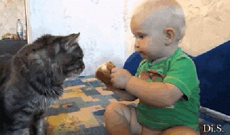 Анимация Ребенок делится булкой с любимым котом