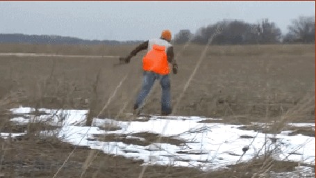 Анимация Очень правильное использование лука на охоте