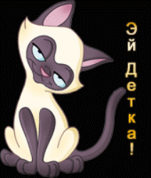 Анимация Кошка на черном фоне строит глазки, (Эй детка), гифка Кошка на черном фоне строит глазки, (Эй детка)