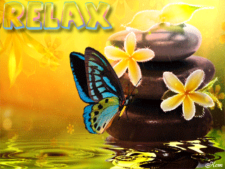 Анимация Бабочка сидит на камушках под мелким дождиком (Relax), гифка Бабочка сидит на камушках под мелким дождиком (Relax)