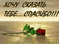 Анимация Красная роза лежит на воде на золотом фоне (Хочу сказать тебе спасибо!), гифка Красная роза лежит на воде на золотом фоне (Хочу сказать тебе спасибо!)