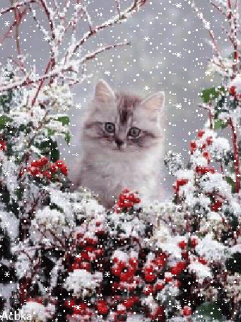 Анимация Котенок под падающим снегом
