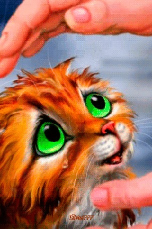 Анимация Мокрый рыжий котенок плачет