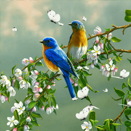 Анимация Две птицы сидят на весенней ветке и вокруг порхают бабочки, гифка Две птицы сидят на весенней ветке и вокруг порхают бабочки