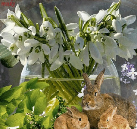 Анимация Подснежники в вазе и кролики на первом плане