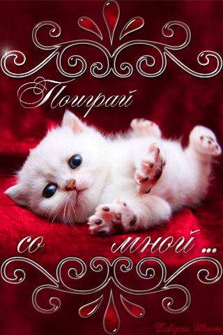 Анимация Котенок лежит на красной ткани (Поиграй со мной), гифка Котенок лежит на красной ткани (Поиграй со мной)
