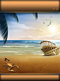 Анимация Скорпион на морском пляже около ракушек, гифка Скорпион на морском пляже около ракушек