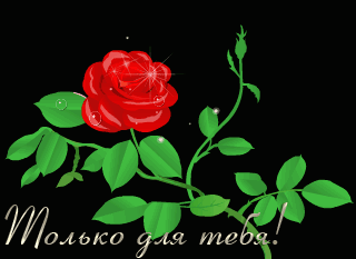 Анимация Красная роза на черном фоне (Только для тебя), гифка Красная роза на черном фоне (Только для тебя)