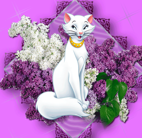 Анимация Белая кошка на фоне разноцветной сирени, гифка