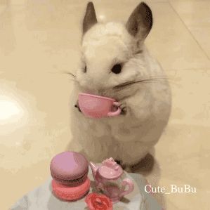 Анимация Кролик пьет чай с пирожными (Cute BuBu), гифка Кролик пьет чай с пирожными (Cute BuBu)