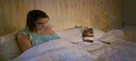 Анимация Кот переглядывается с хозяйкой, которая лежит рядом с ним в постели