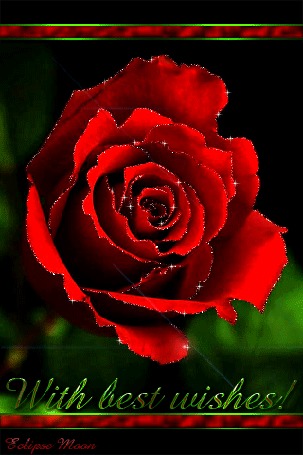 Анимация Красная роза (С наилучшими пожеланиями / With best wishes)