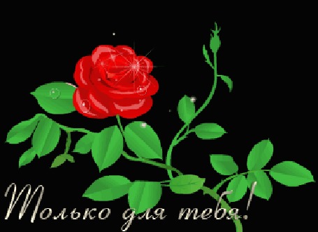 Анимация Красная роза на черном фоне (Только для тебя)