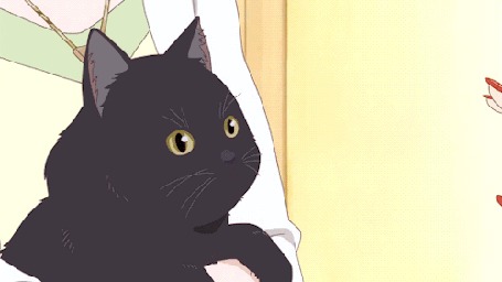 Анимация Кот Дару / Daru из аниме Она и ее кот: Все меняется / Kanojo to Kanojo no Neko: Everything Flows