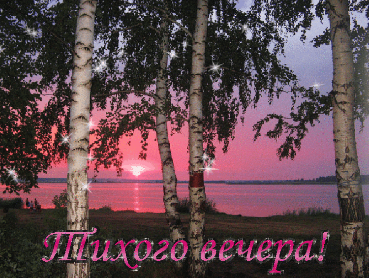 Анимация Березы на фоне заката (Тихого вечера!), гифка Березы на фоне заката (Тихого вечера!)