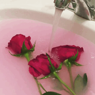 Анимация В раковине лежат красные розы, на которые льется вода из крана, гифка В раковине лежат красные розы, на которые льется вода из крана