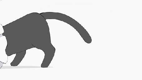 Анимация Котенок с мешком на голове, он пытается снять его
