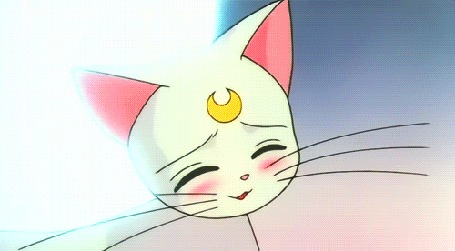 Анимация Артемис / Artemis и Luna / Луна из аниме Сейлор Мун / Sailor Moon