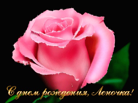 Анимация Красивая розовая роза на черном фоне. (С Днем рождения, Леночка!)