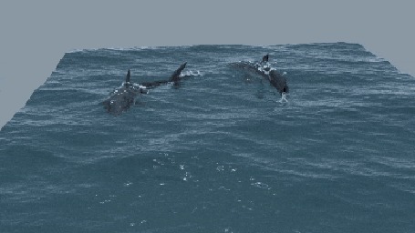 Анимация Две акулы кружат в воде, друг за другом